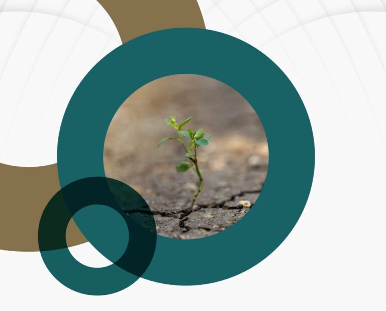 التقرير السنوي لشبكة قدرة 2024